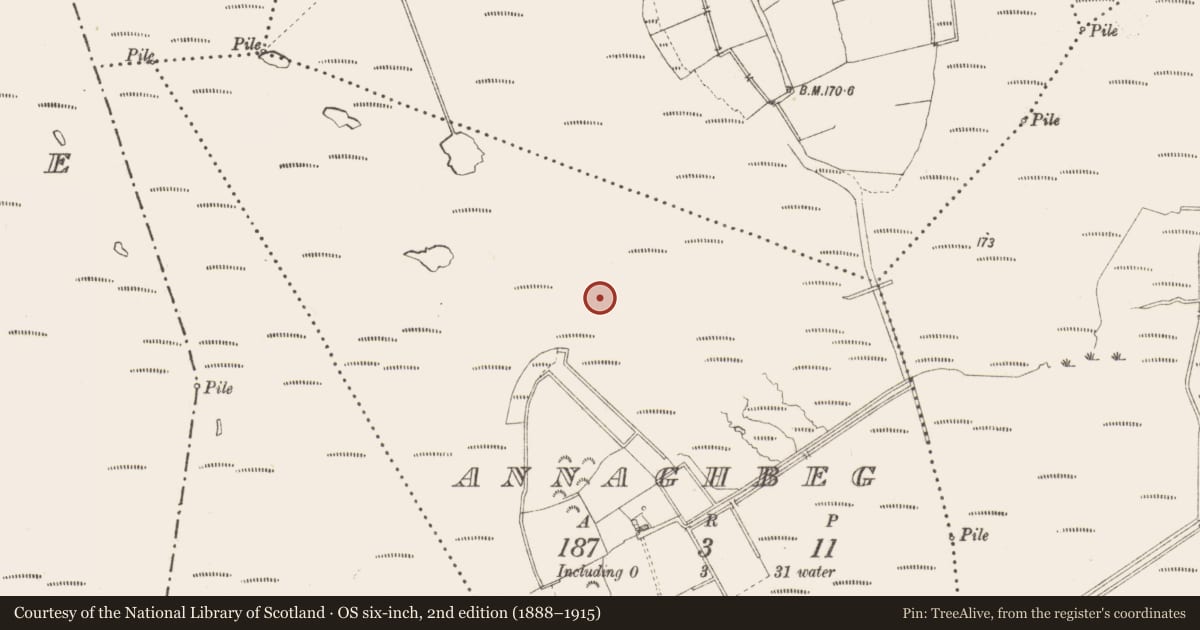 Ordnance Survey six-inch map, 2nd edition (1888–1915) covering the location of Road - class 3 togher, Annaghbeg, County Longford, with a pin at the register's coordinates