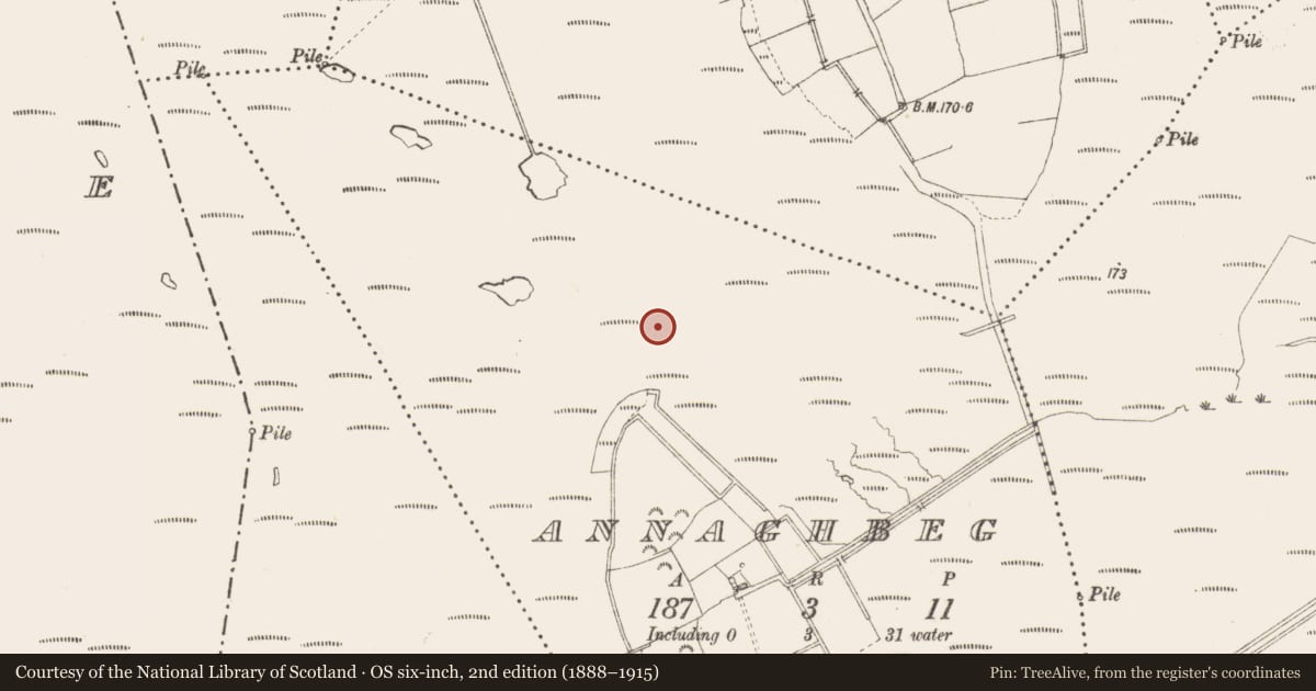 Ordnance Survey six-inch map, 2nd edition (1888–1915) covering the location of Road - class 3 togher, Annaghbeg, County Longford, with a pin at the register's coordinates