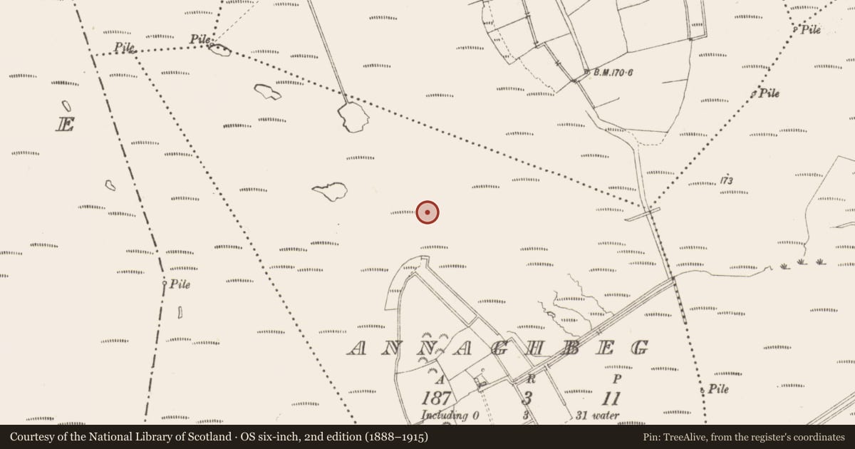 Ordnance Survey six-inch map, 2nd edition (1888–1915) covering the location of Road - class 3 togher, Annaghbeg, County Longford, with a pin at the register's coordinates