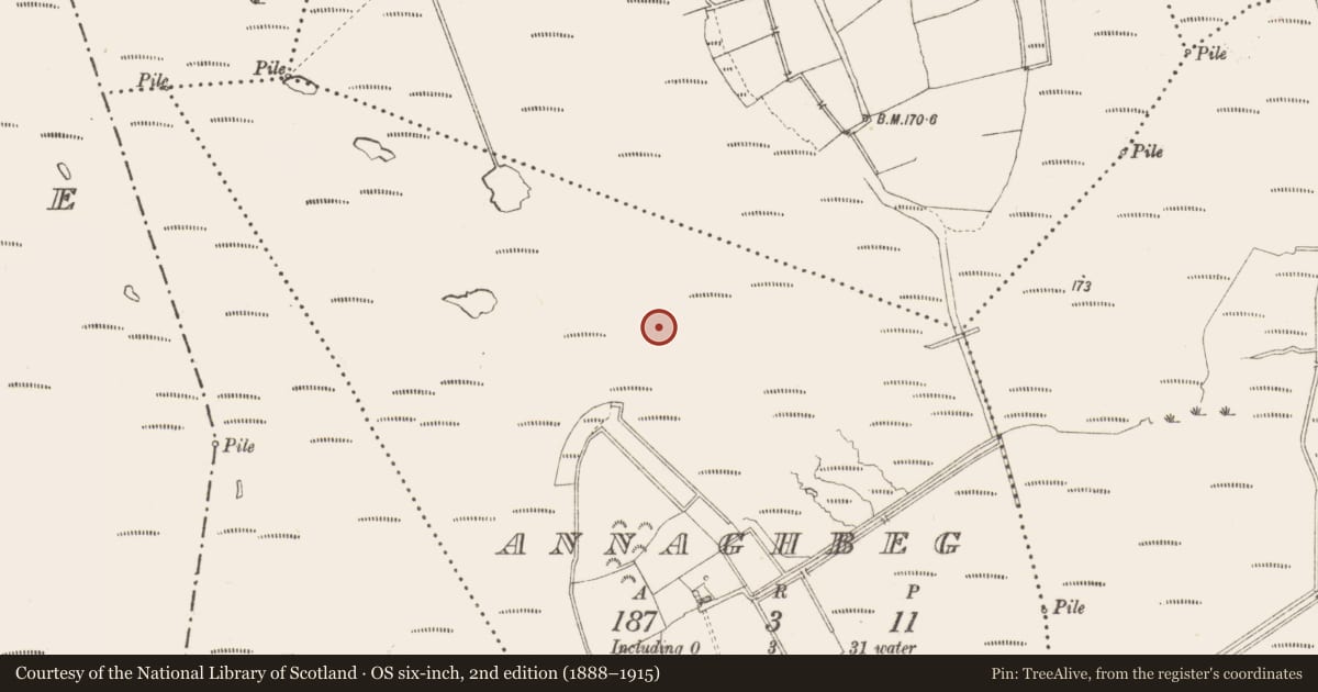 Ordnance Survey six-inch map, 2nd edition (1888–1915) covering the location of Road - class 3 togher, Annaghbeg, County Longford, with a pin at the register's coordinates