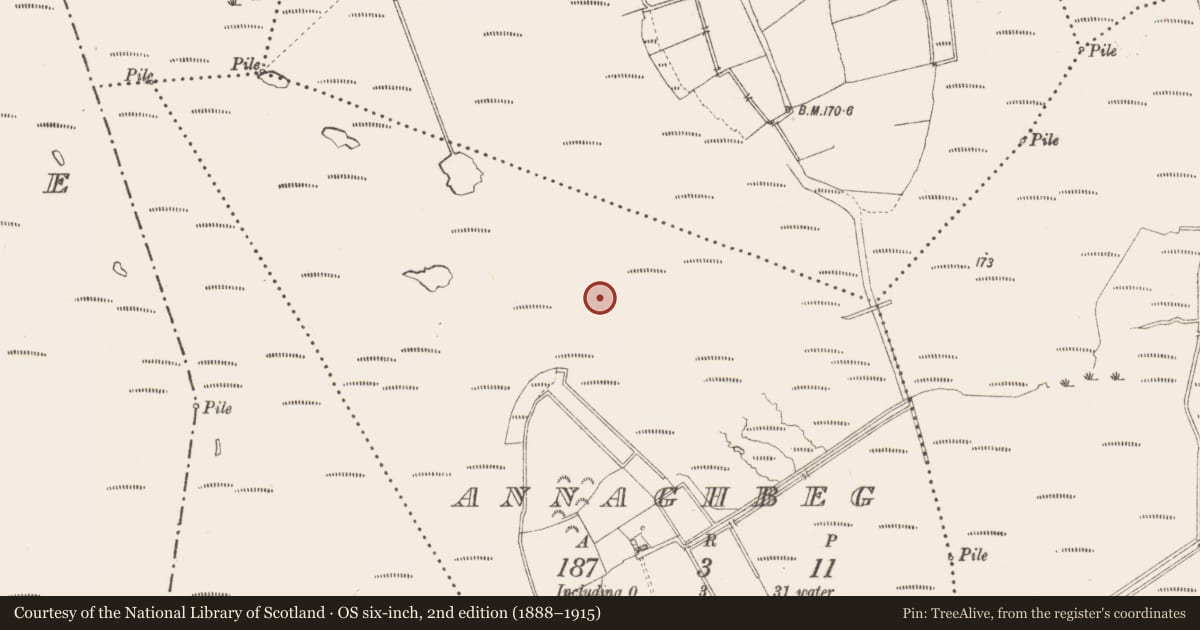 Ordnance Survey six-inch map, 2nd edition (1888–1915) covering the location of Road - class 3 togher, Annaghbeg, County Longford, with a pin at the register's coordinates