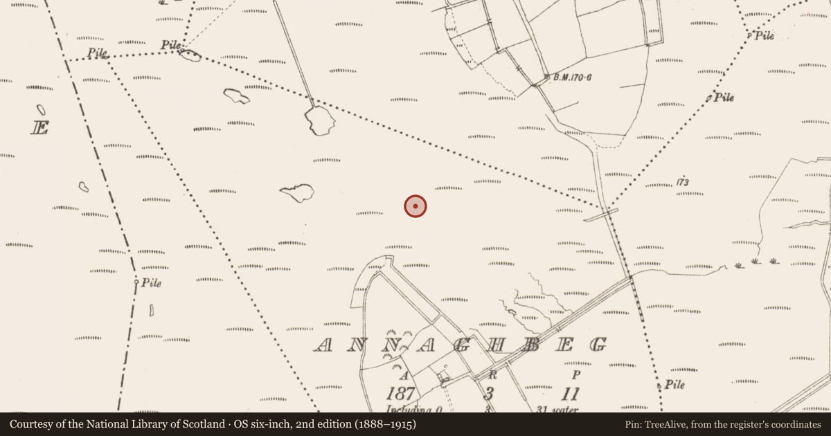 Ordnance Survey six-inch map, 2nd edition (1888–1915) covering the location of Road - class 3 togher, Annaghbeg, County Longford, with a pin at the register's coordinates