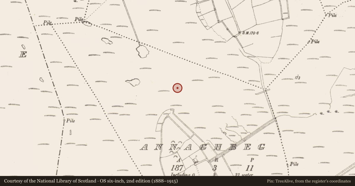 Ordnance Survey six-inch map, 2nd edition (1888–1915) covering the location of Road - class 3 togher, Annaghbeg, County Longford, with a pin at the register's coordinates