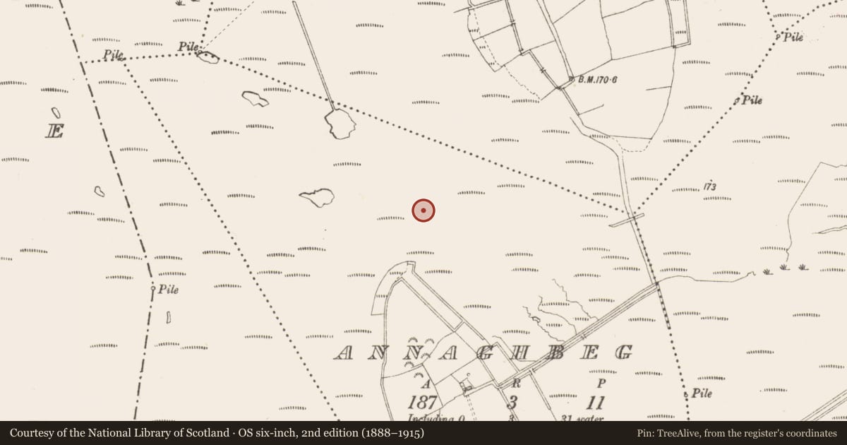 Ordnance Survey six-inch map, 2nd edition (1888–1915) covering the location of Structure - peatland, Annaghbeg, County Longford, with a pin at the register's coordinates
