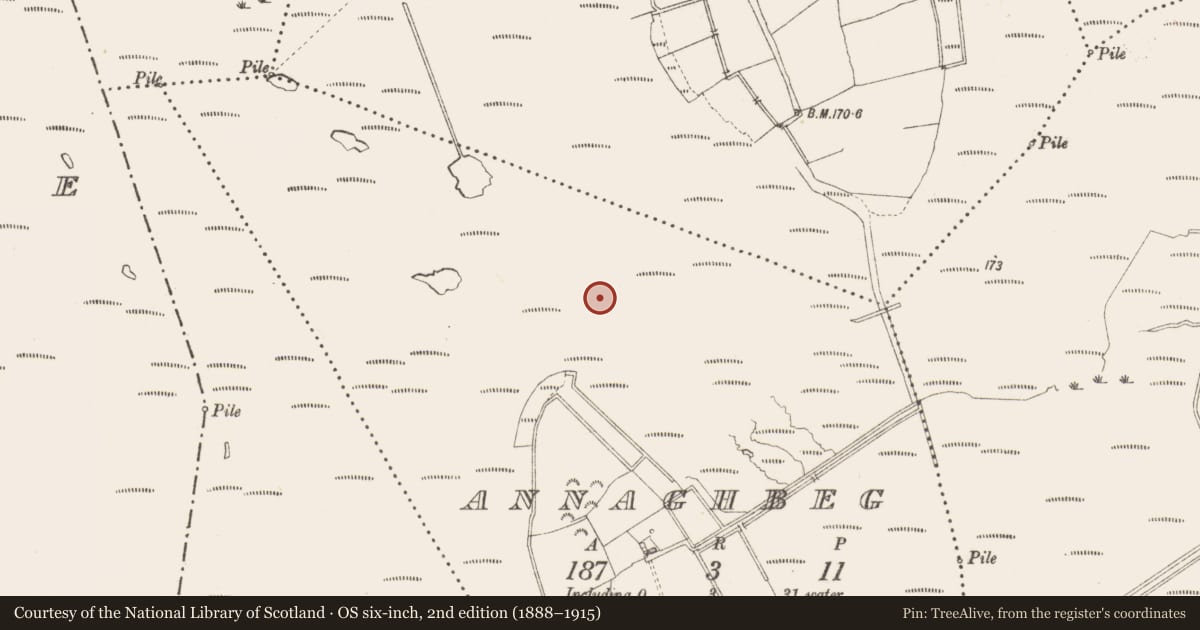 Ordnance Survey six-inch map, 2nd edition (1888–1915) covering the location of Road - class 3 togher, Annaghbeg, County Longford, with a pin at the register's coordinates