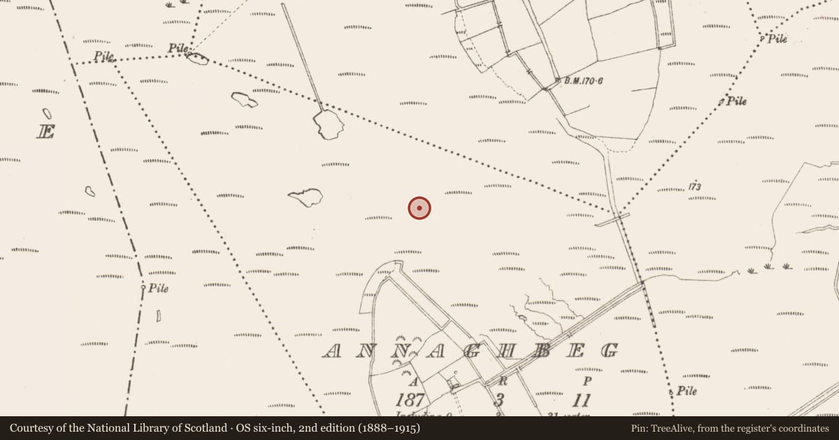 Ordnance Survey six-inch map, 2nd edition (1888–1915) covering the location of Road - class 3 togher, Annaghbeg, County Longford, with a pin at the register's coordinates