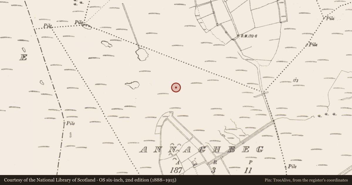 Ordnance Survey six-inch map, 2nd edition (1888–1915) covering the location of Structure - peatland, Annaghbeg, County Longford, with a pin at the register's coordinates