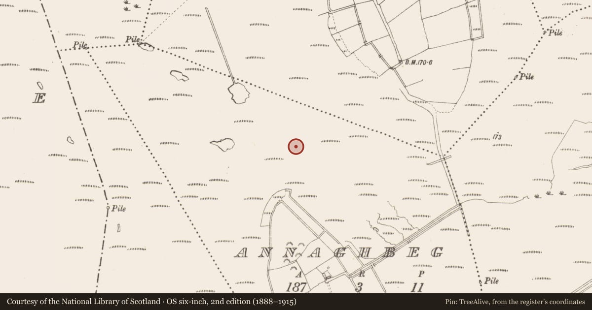 Ordnance Survey six-inch map, 2nd edition (1888–1915) covering the location of Structure - peatland, Annaghbeg, County Longford, with a pin at the register's coordinates