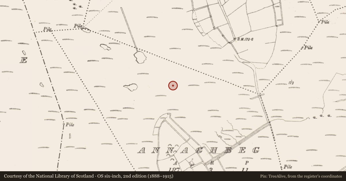 Ordnance Survey six-inch map, 2nd edition (1888–1915) covering the location of Structure - peatland, Annaghbeg, County Longford, with a pin at the register's coordinates