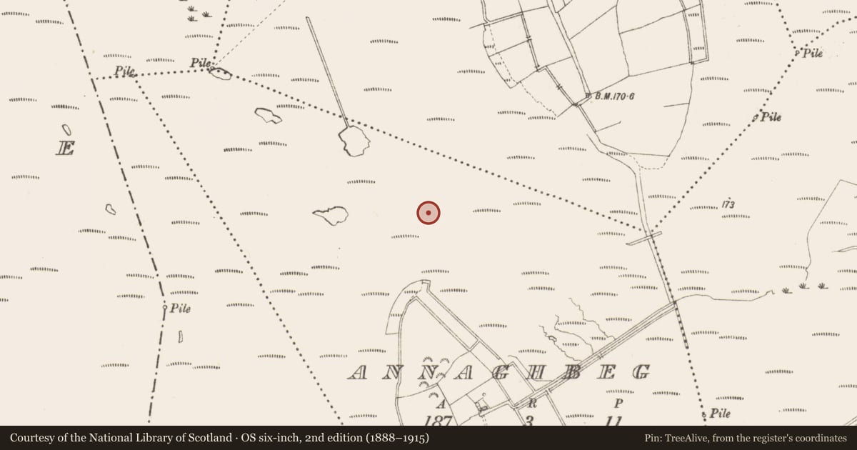 Ordnance Survey six-inch map, 2nd edition (1888–1915) covering the location of Road - class 3 togher, Annaghbeg, County Longford, with a pin at the register's coordinates