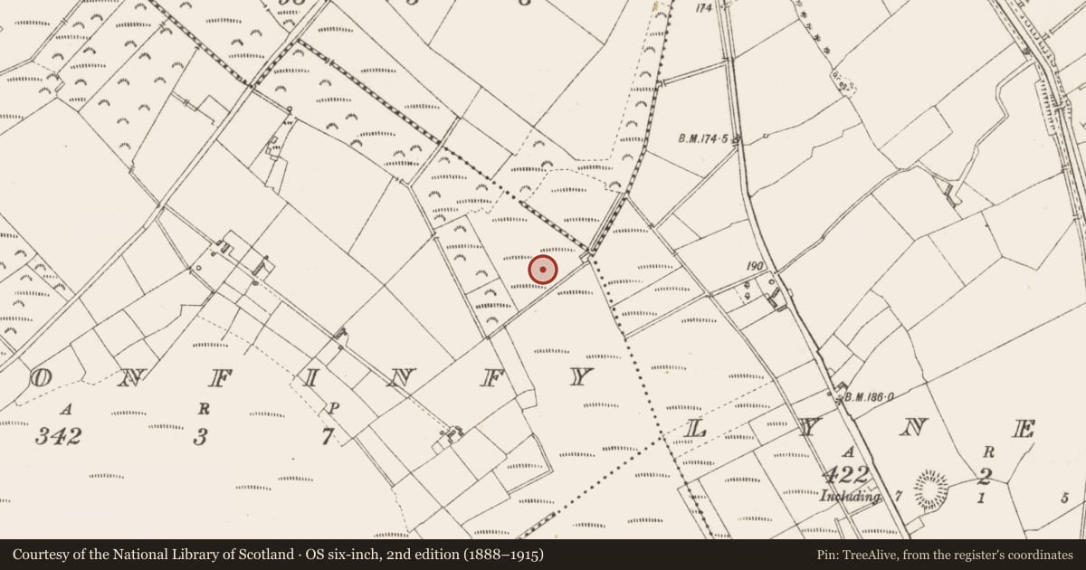 Ordnance Survey six-inch map, 2nd edition (1888–1915) covering the location of Road - class 3 togher, Cloonfinfy, County Longford, with a pin at the register's coordinates