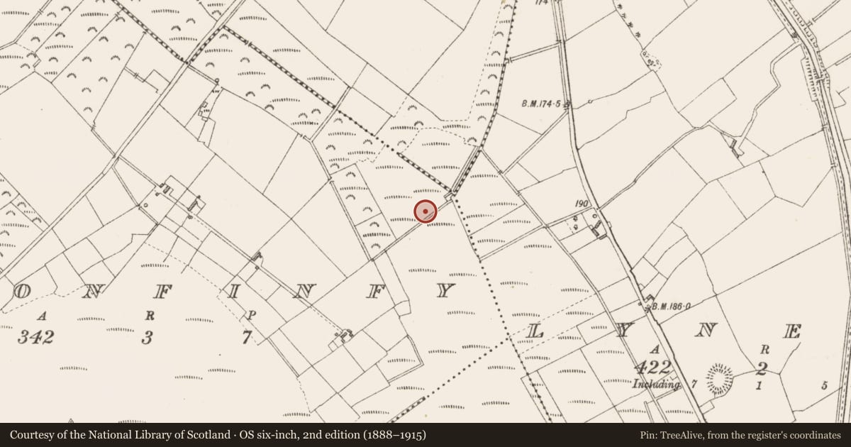 Ordnance Survey six-inch map, 2nd edition (1888–1915) covering the location of Road - class 3 togher, Cloonfinfy, County Longford, with a pin at the register's coordinates