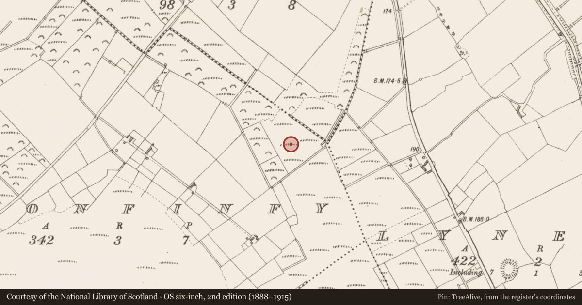 Ordnance Survey six-inch map, 2nd edition (1888–1915) covering the location of Road - class 3 togher, Cloonfinfy, County Longford, with a pin at the register's coordinates