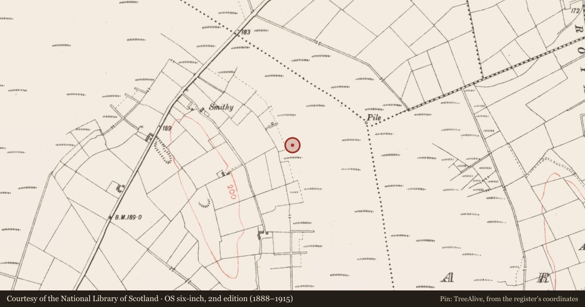 Ordnance Survey six-inch map, 2nd edition (1888–1915) covering the location of Road - class 3 togher, Derryoghil, County Longford, with a pin at the register's coordinates