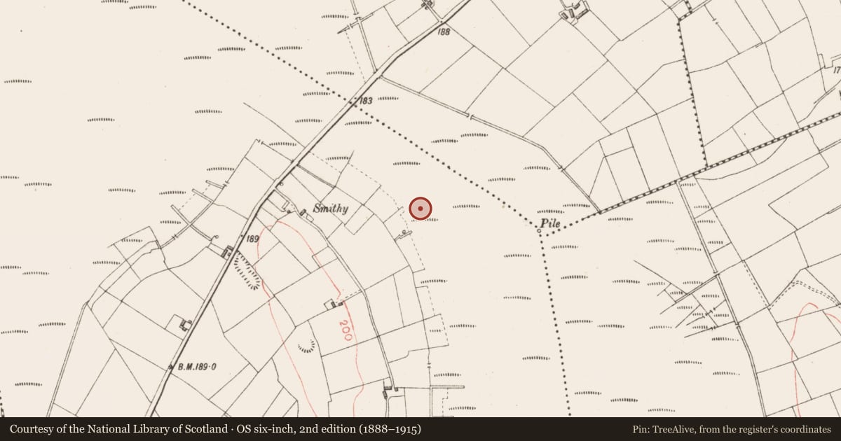 Ordnance Survey six-inch map, 2nd edition (1888–1915) covering the location of Road - class 3 togher, Derryoghil, County Longford, with a pin at the register's coordinates