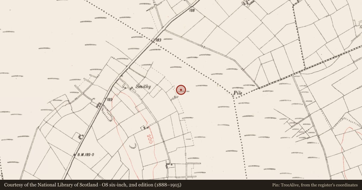 Ordnance Survey six-inch map, 2nd edition (1888–1915) covering the location of Road - class 2 togher, Derryoghil, County Longford, with a pin at the register's coordinates