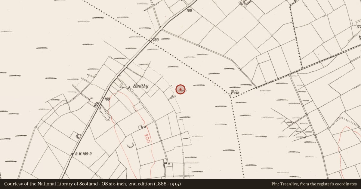 Ordnance Survey six-inch map, 2nd edition (1888–1915) covering the location of Road - class 3 togher, Derryoghil, County Longford, with a pin at the register's coordinates