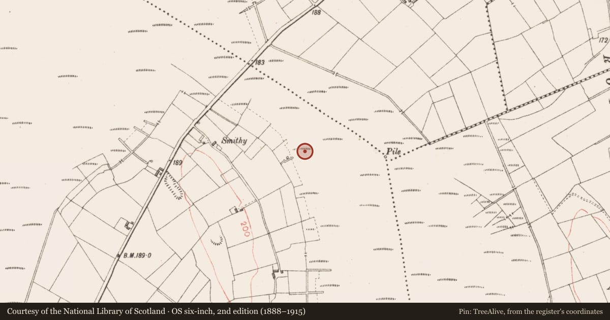 Ordnance Survey six-inch map, 2nd edition (1888–1915) covering the location of Road - class 3 togher, Derryoghil, County Longford, with a pin at the register's coordinates