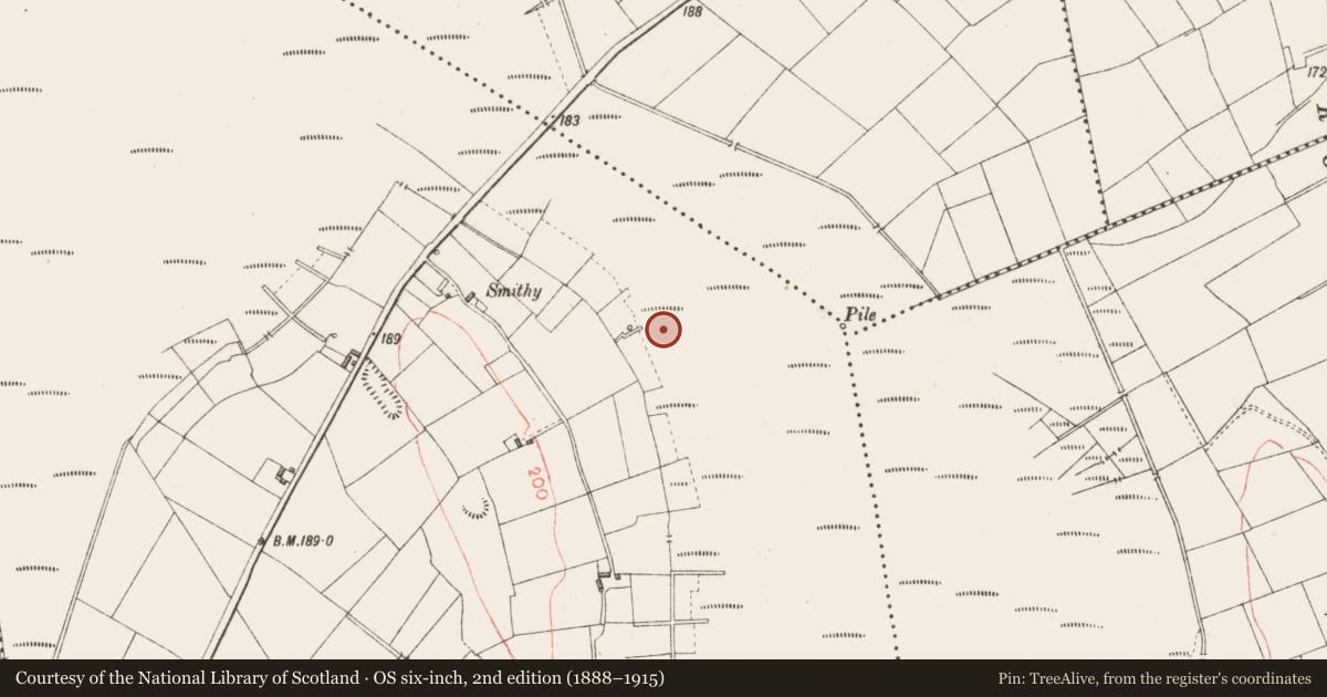 Ordnance Survey six-inch map, 2nd edition (1888–1915) covering the location of Road - class 3 togher, Derryoghil, County Longford, with a pin at the register's coordinates