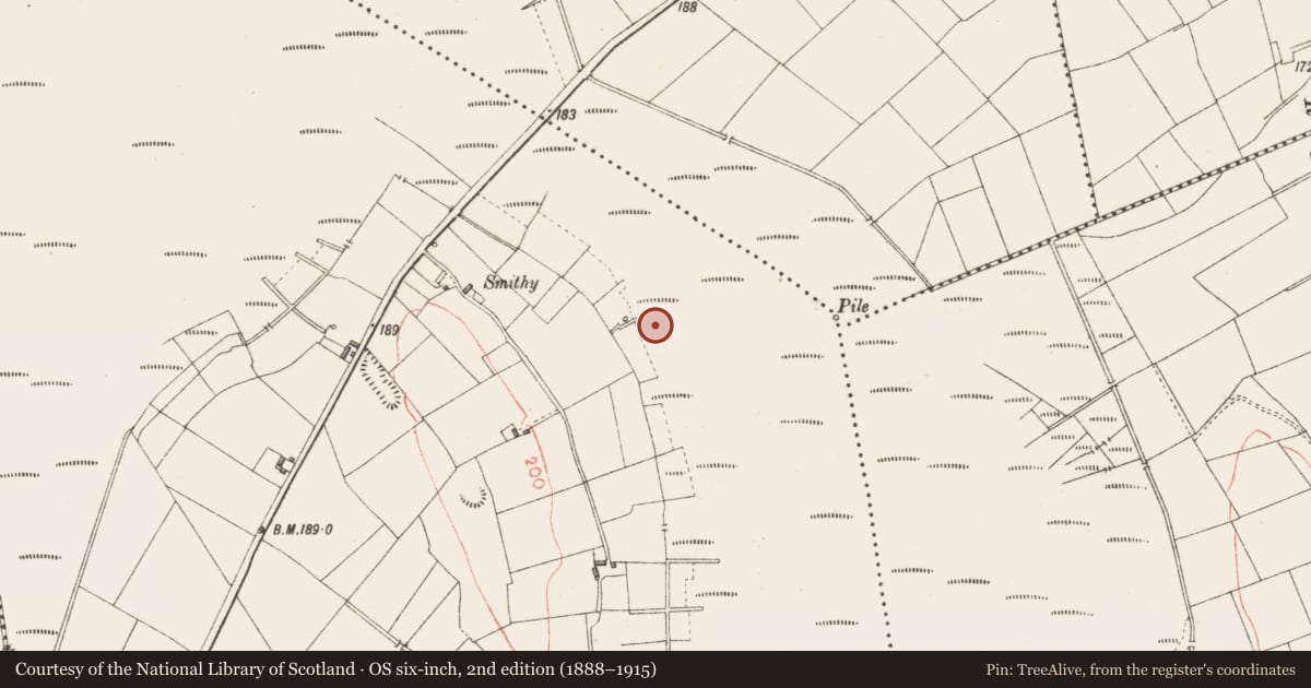 Ordnance Survey six-inch map, 2nd edition (1888–1915) covering the location of Road - class 3 togher, Derryoghil, County Longford, with a pin at the register's coordinates