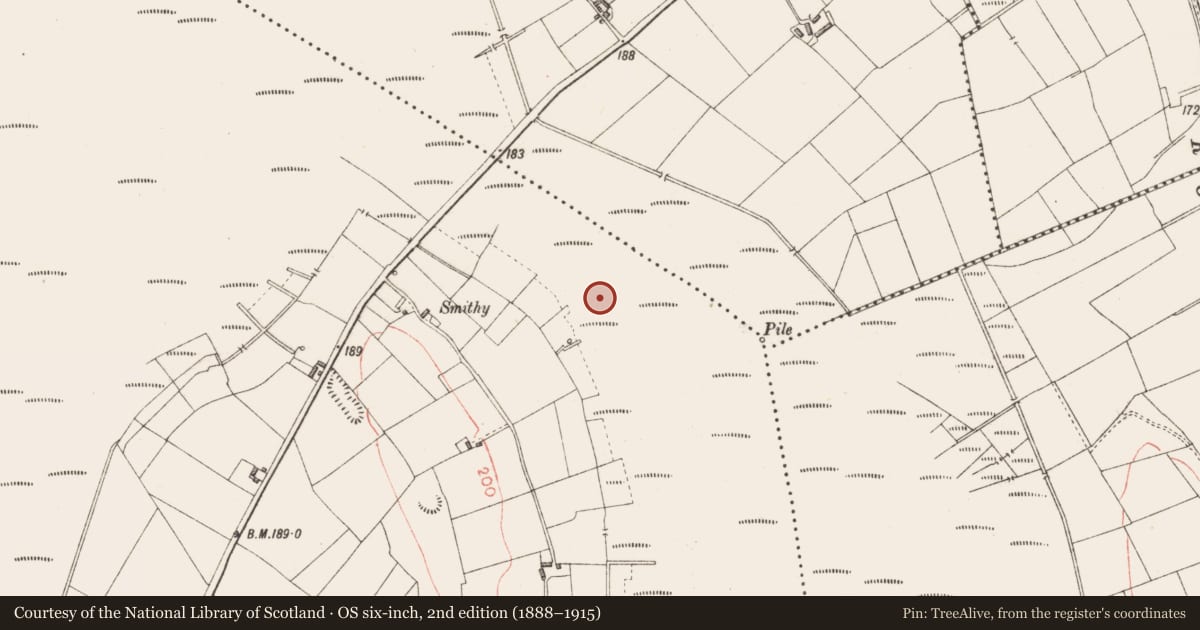 Ordnance Survey six-inch map, 2nd edition (1888–1915) covering the location of Road - class 3 togher, Derryoghil, County Longford, with a pin at the register's coordinates