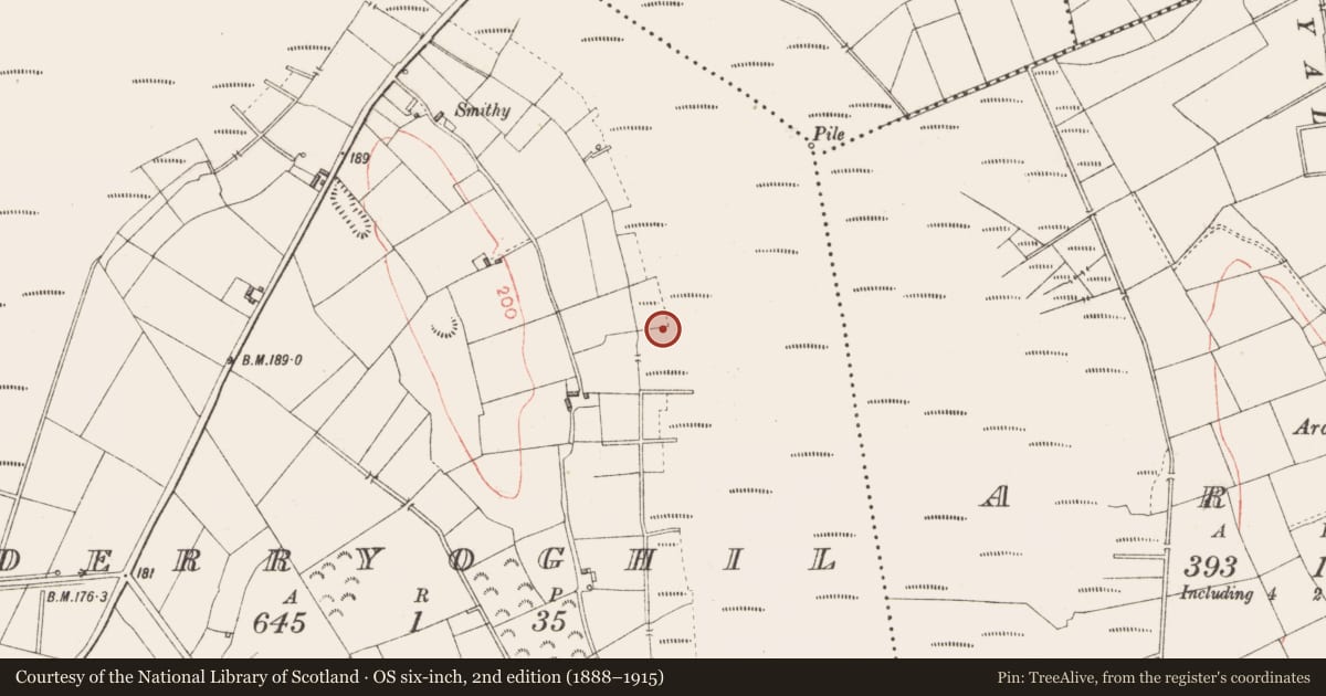 Ordnance Survey six-inch map, 2nd edition (1888–1915) covering the location of Road - class 3 togher, Derryoghil, County Longford, with a pin at the register's coordinates