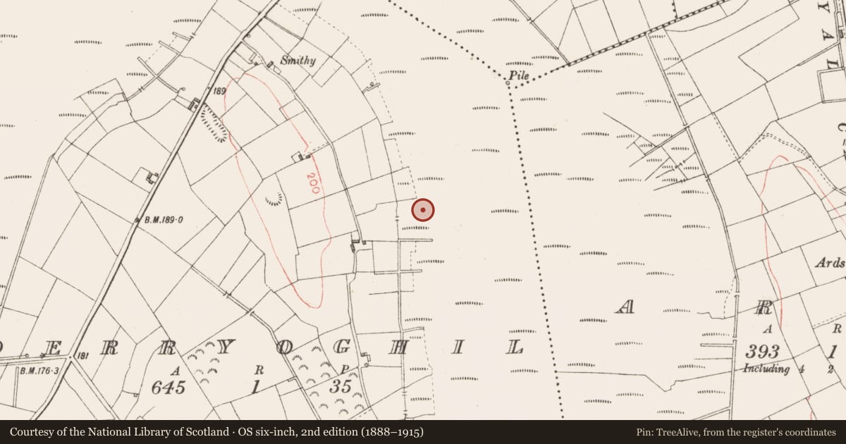 Ordnance Survey six-inch map, 2nd edition (1888–1915) covering the location of Road - class 3 togher, Derryoghil, County Longford, with a pin at the register's coordinates