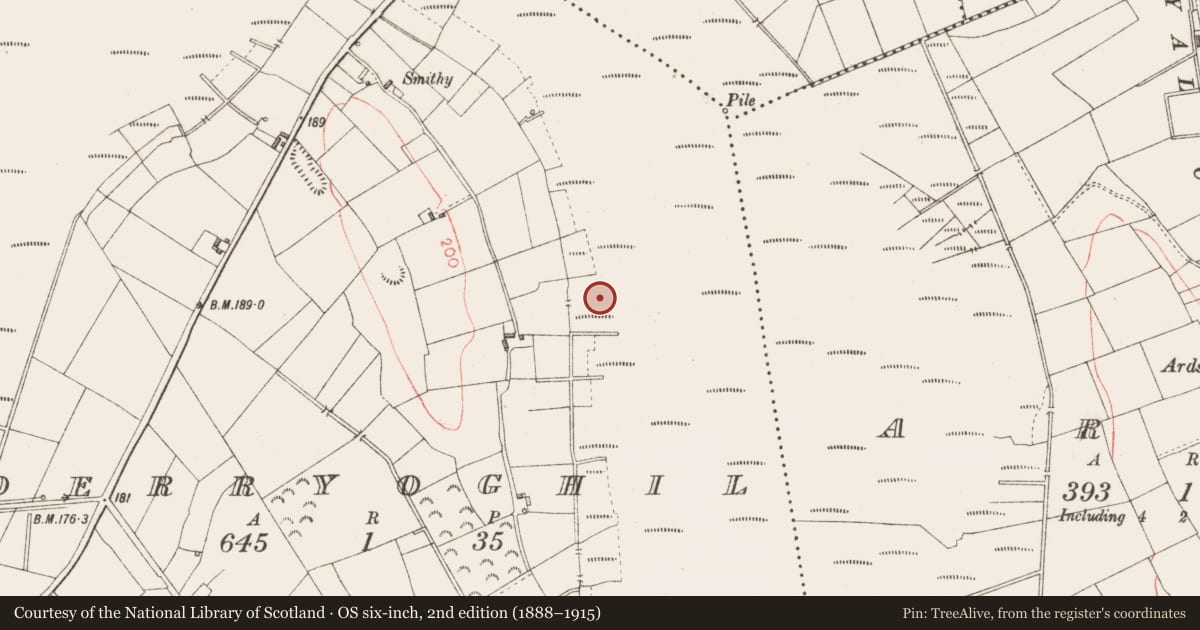 Ordnance Survey six-inch map, 2nd edition (1888–1915) covering the location of Road - class 3 togher, Derryoghil, County Longford, with a pin at the register's coordinates