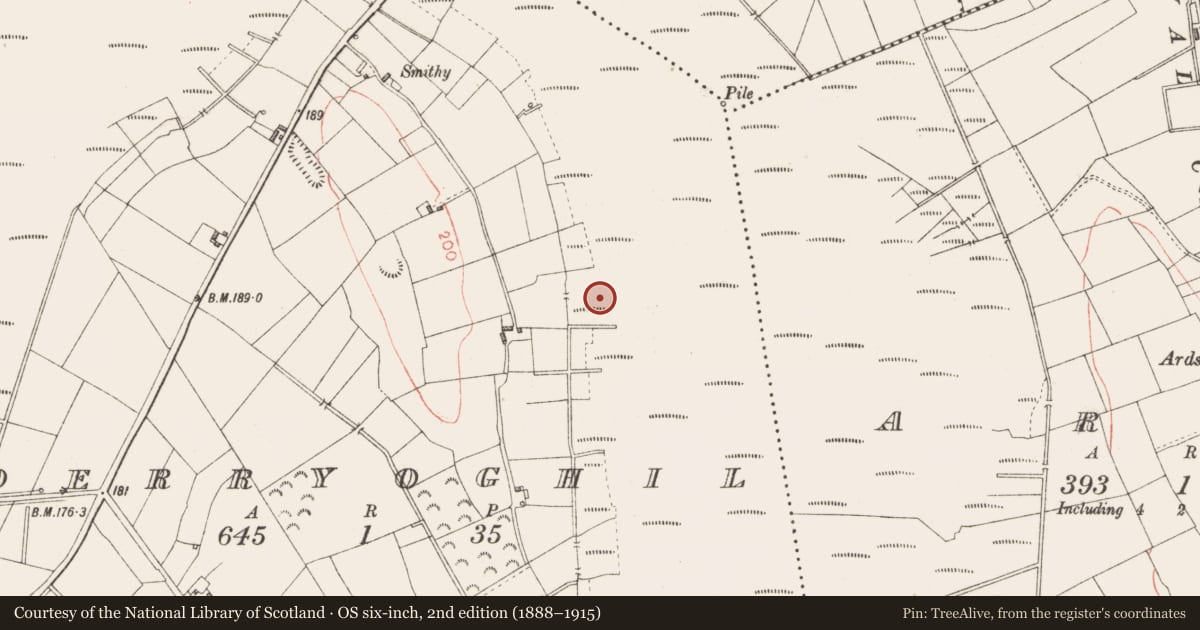 Ordnance Survey six-inch map, 2nd edition (1888–1915) covering the location of Road - class 3 togher, Derryoghil, County Longford, with a pin at the register's coordinates