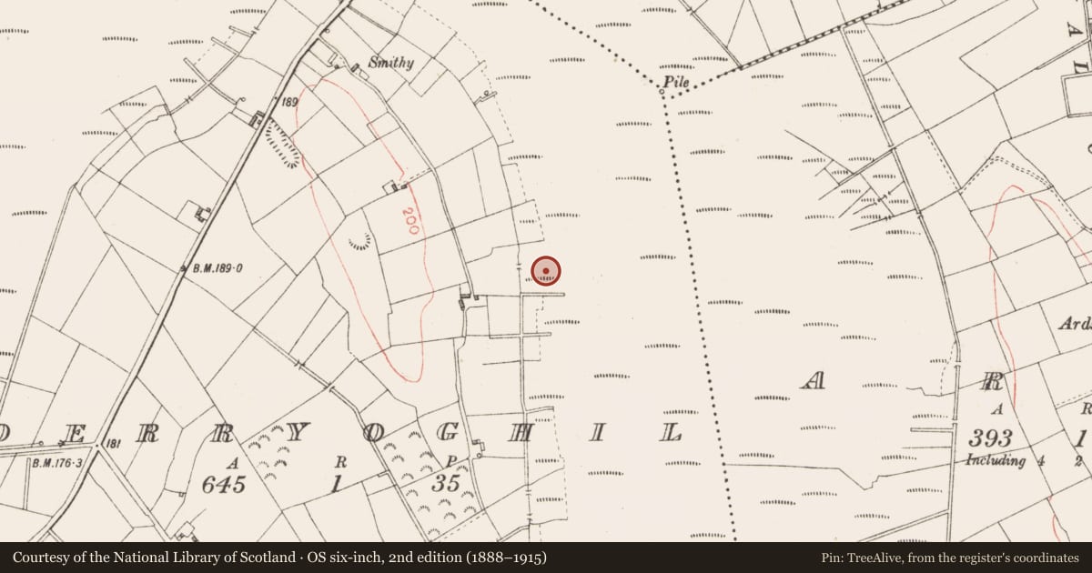 Ordnance Survey six-inch map, 2nd edition (1888–1915) covering the location of Road - class 3 togher, Derryoghil, County Longford, with a pin at the register's coordinates