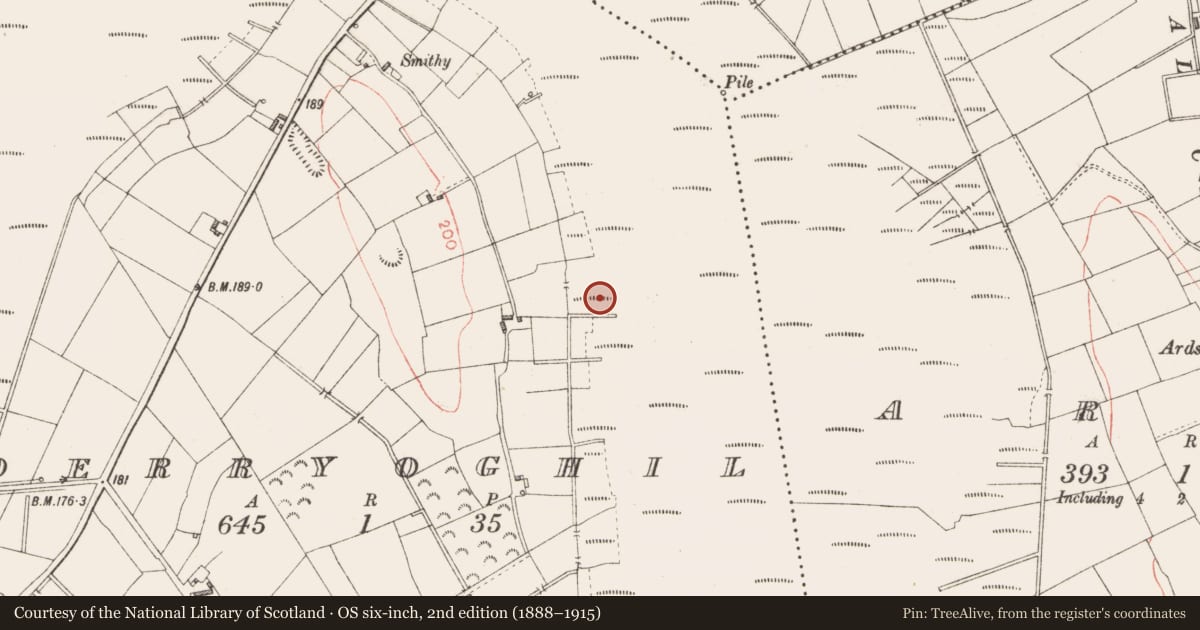 Ordnance Survey six-inch map, 2nd edition (1888–1915) covering the location of Road - class 3 togher, Derryoghil, County Longford, with a pin at the register's coordinates