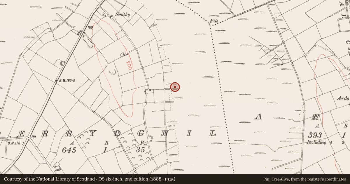 Ordnance Survey six-inch map, 2nd edition (1888–1915) covering the location of Road - class 2 togher, Derryoghil, County Longford, with a pin at the register's coordinates