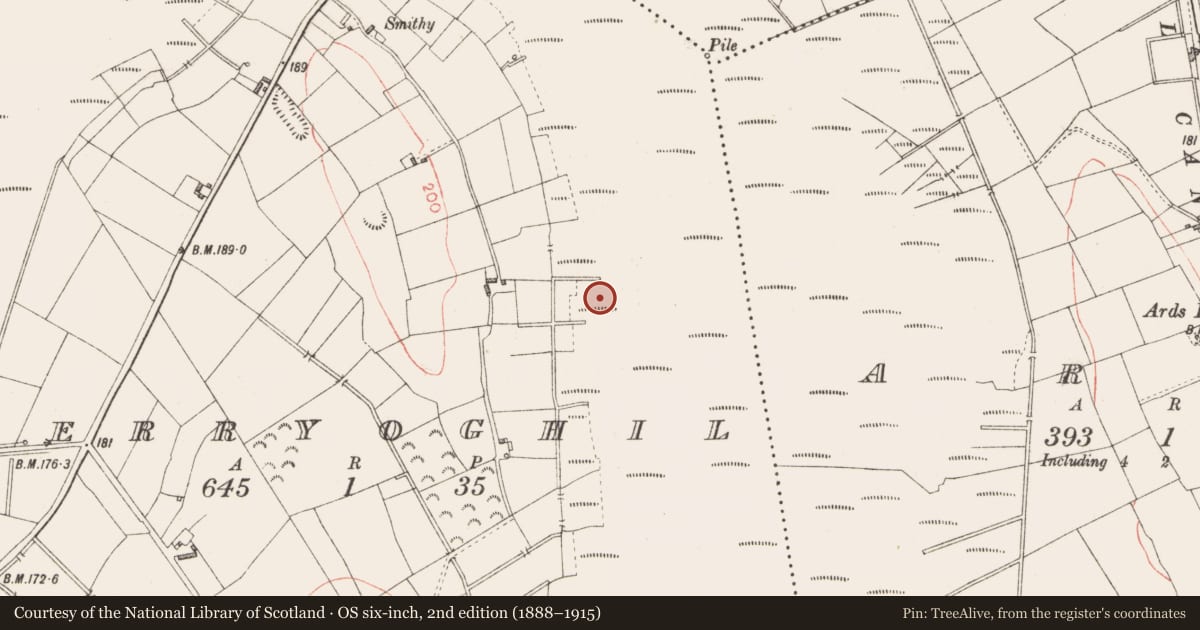 Ordnance Survey six-inch map, 2nd edition (1888–1915) covering the location of Road - class 2 togher, Derryoghil, County Longford, with a pin at the register's coordinates