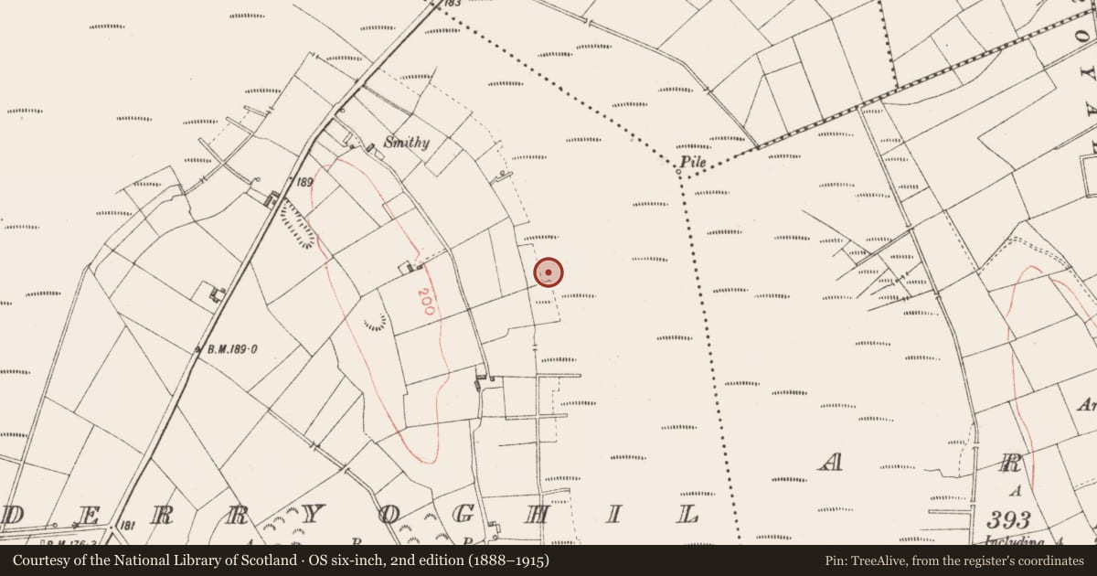 Ordnance Survey six-inch map, 2nd edition (1888–1915) covering the location of Road - class 3 togher, Derryoghil, County Longford, with a pin at the register's coordinates