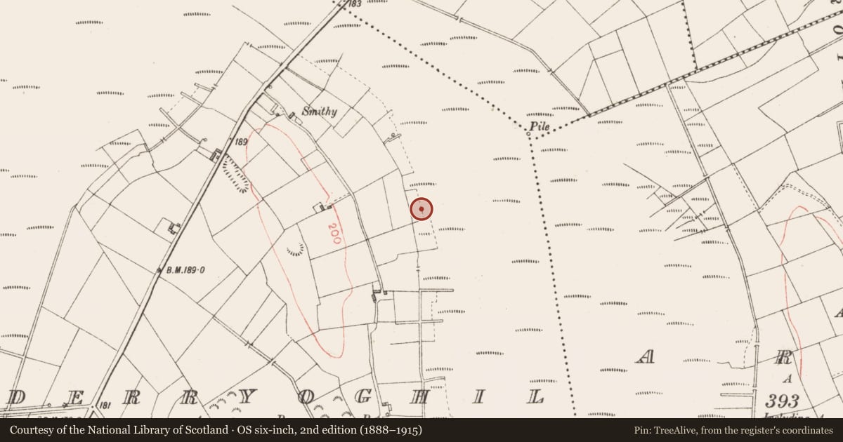 Ordnance Survey six-inch map, 2nd edition (1888–1915) covering the location of Road - class 3 togher, Derryoghil, County Longford, with a pin at the register's coordinates