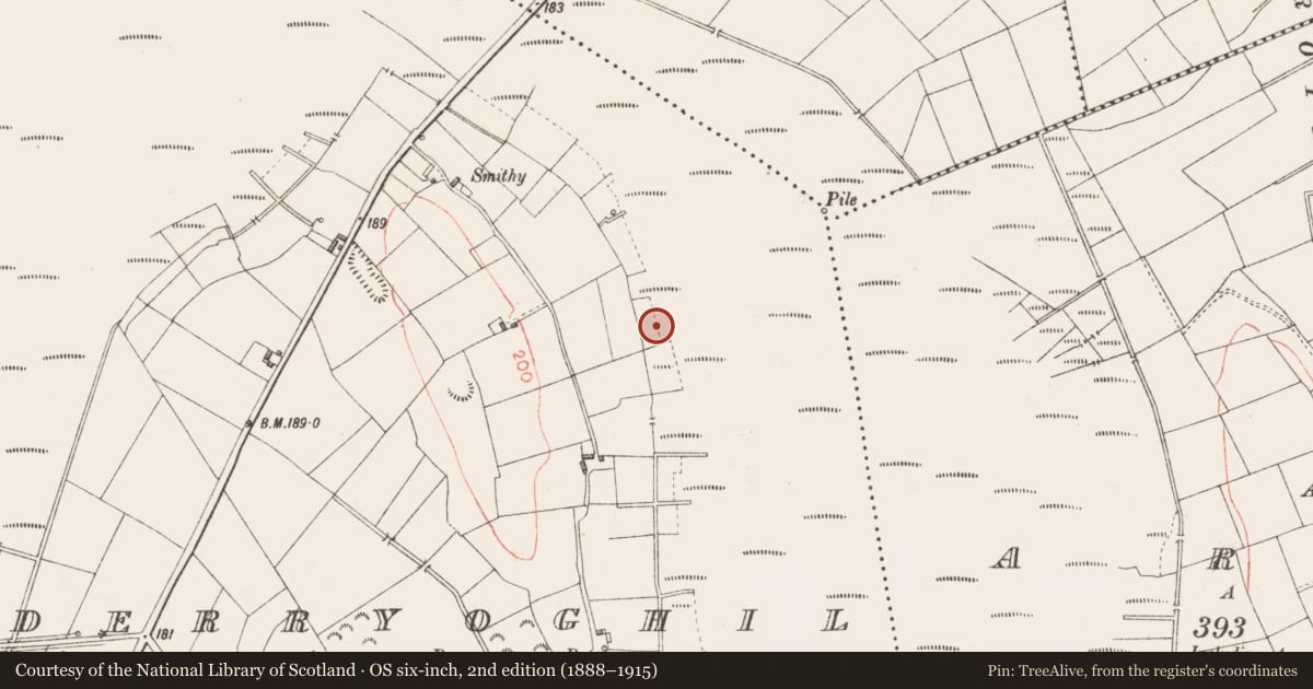 Ordnance Survey six-inch map, 2nd edition (1888–1915) covering the location of Road - class 3 togher, Derryoghil, County Longford, with a pin at the register's coordinates