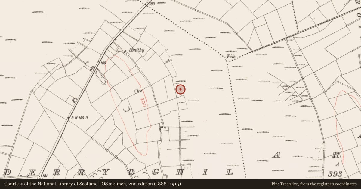 Ordnance Survey six-inch map, 2nd edition (1888–1915) covering the location of Road - class 3 togher, Derryoghil, County Longford, with a pin at the register's coordinates