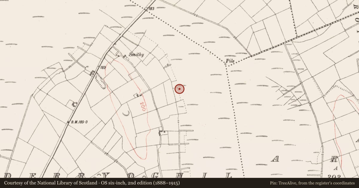 Ordnance Survey six-inch map, 2nd edition (1888–1915) covering the location of Road - class 3 togher, Derryoghil, County Longford, with a pin at the register's coordinates