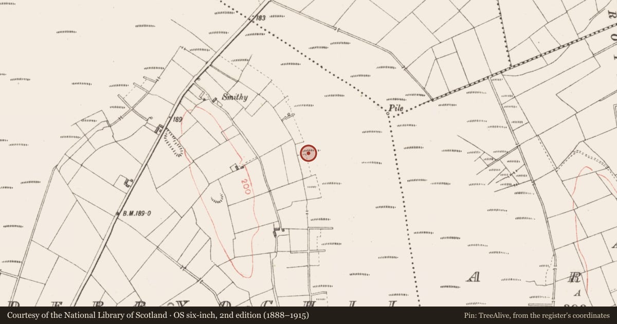 Ordnance Survey six-inch map, 2nd edition (1888–1915) covering the location of Road - class 3 togher, Derryoghil, County Longford, with a pin at the register's coordinates