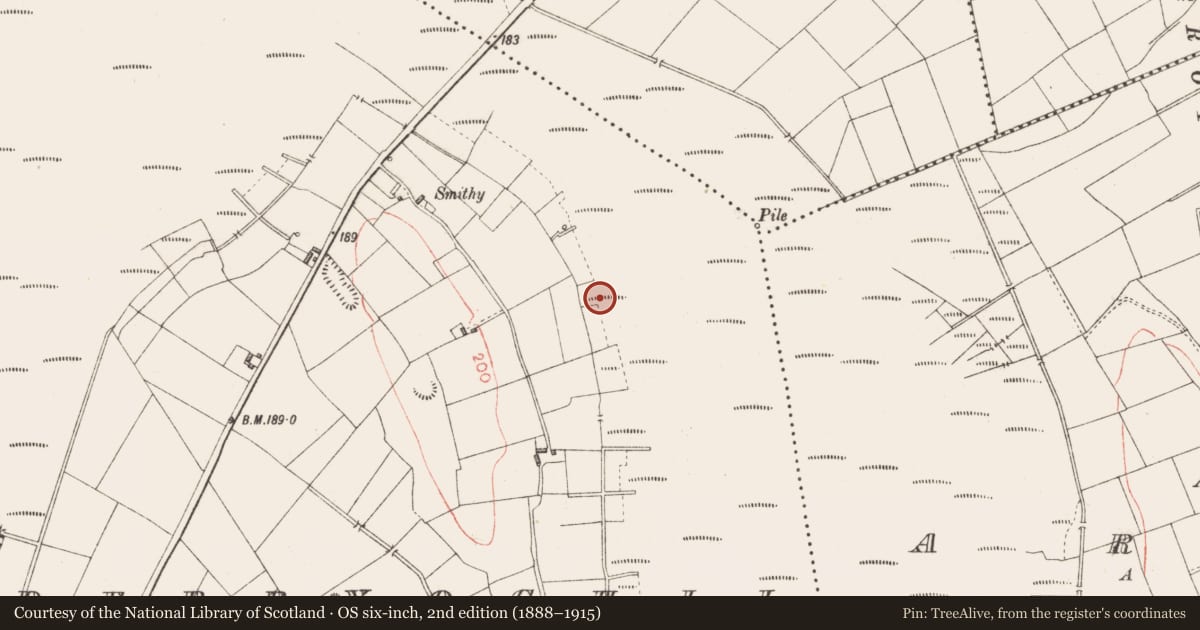 Ordnance Survey six-inch map, 2nd edition (1888–1915) covering the location of Road - class 3 togher, Derryoghil, County Longford, with a pin at the register's coordinates