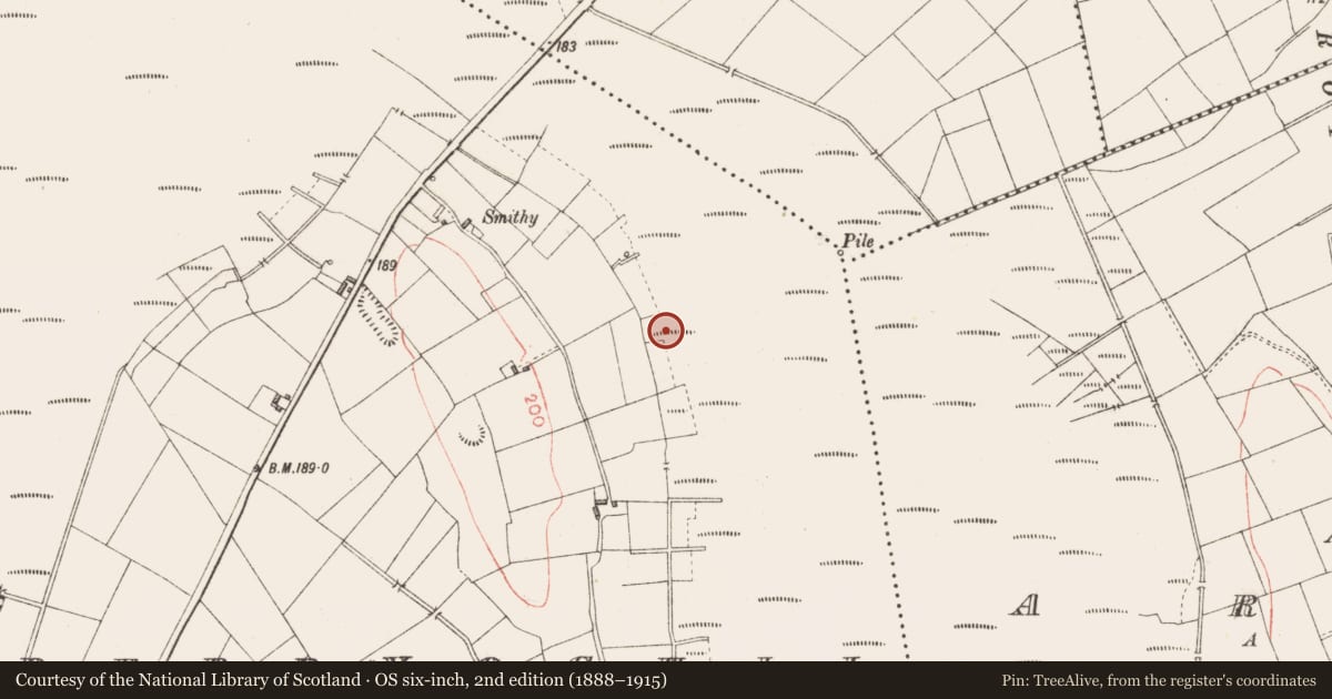 Ordnance Survey six-inch map, 2nd edition (1888–1915) covering the location of Road - class 3 togher, Derryoghil, County Longford, with a pin at the register's coordinates