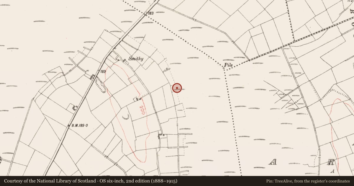 Ordnance Survey six-inch map, 2nd edition (1888–1915) covering the location of Road - class 3 togher, Derryoghil, County Longford, with a pin at the register's coordinates