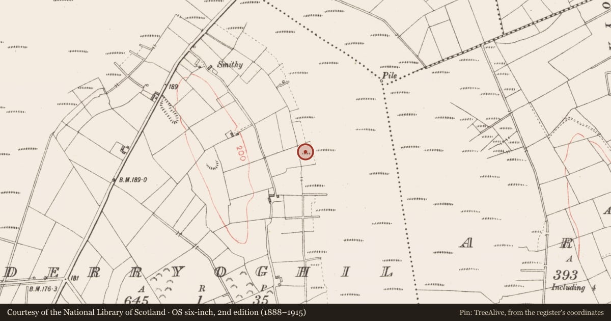 Ordnance Survey six-inch map, 2nd edition (1888–1915) covering the location of Road - class 3 togher, Derryoghil, County Longford, with a pin at the register's coordinates