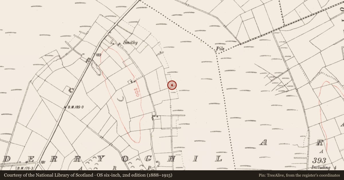 Ordnance Survey six-inch map, 2nd edition (1888–1915) covering the location of Road - class 3 togher, Derryoghil, County Longford, with a pin at the register's coordinates