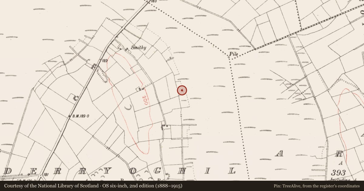 Ordnance Survey six-inch map, 2nd edition (1888–1915) covering the location of Road - class 3 togher, Derryoghil, County Longford, with a pin at the register's coordinates