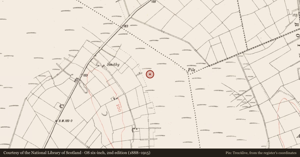 Ordnance Survey six-inch map, 2nd edition (1888–1915) covering the location of Road - class 3 togher, Derryoghil, County Longford, with a pin at the register's coordinates