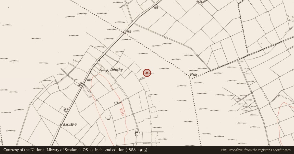 Ordnance Survey six-inch map, 2nd edition (1888–1915) covering the location of Road - class 3 togher, Derryoghil, County Longford, with a pin at the register's coordinates