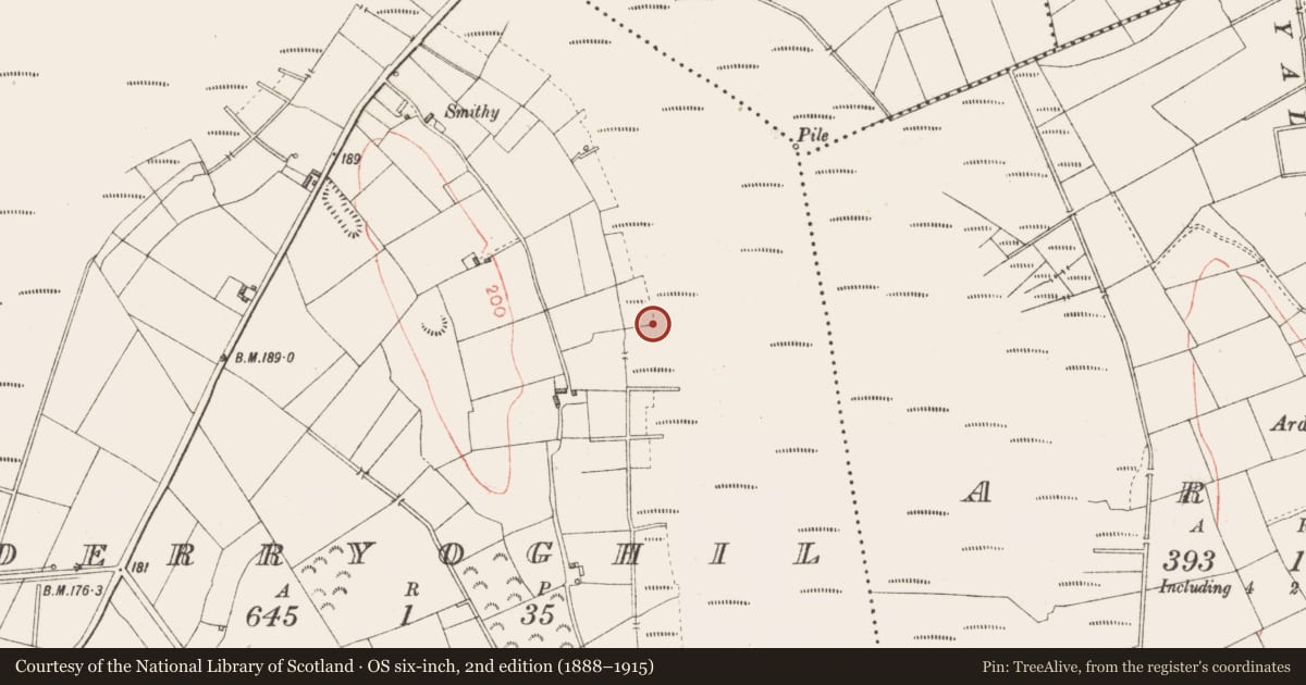 Ordnance Survey six-inch map, 2nd edition (1888–1915) covering the location of Road - class 3 togher, Derryoghil, County Longford, with a pin at the register's coordinates