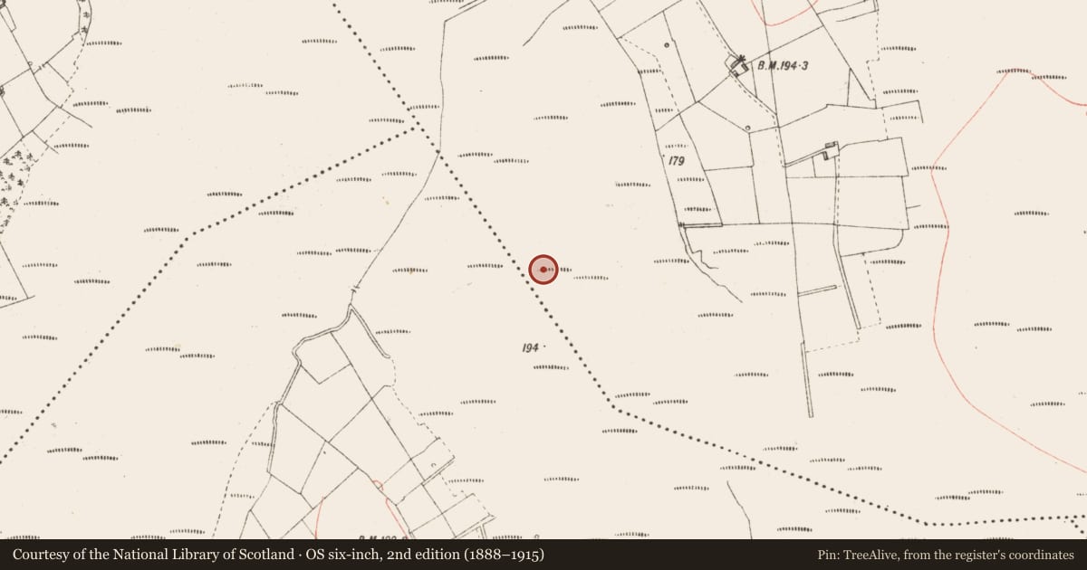 Ordnance Survey six-inch map, 2nd edition (1888–1915) covering the location of Road - class 3 togher, Derryoghil, County Longford, with a pin at the register's coordinates