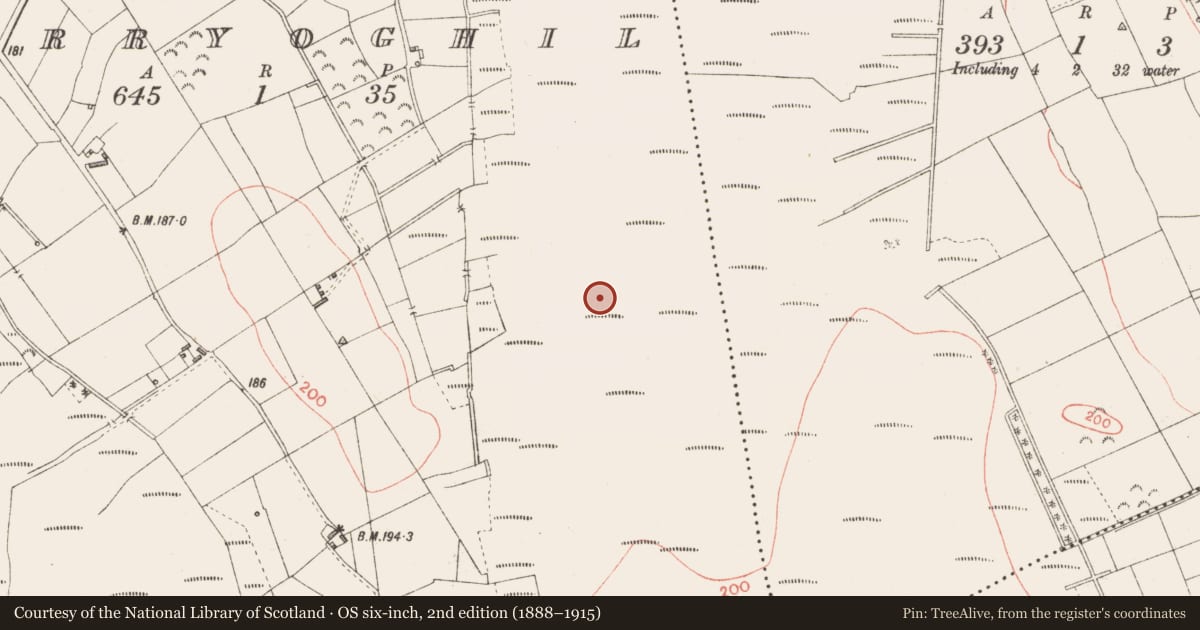 Ordnance Survey six-inch map, 2nd edition (1888–1915) covering the location of Road - class 2 togher, Derryoghil, County Longford, with a pin at the register's coordinates